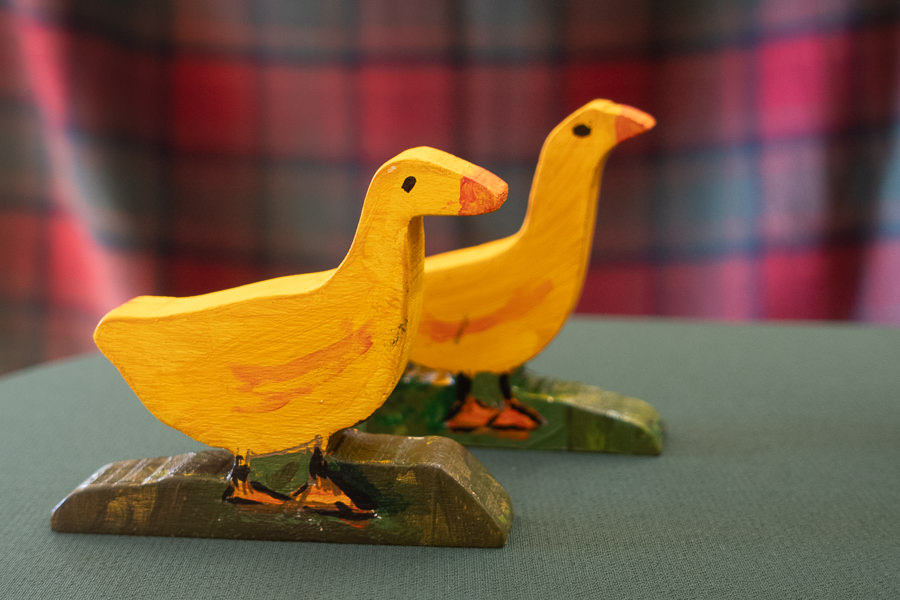 ducks