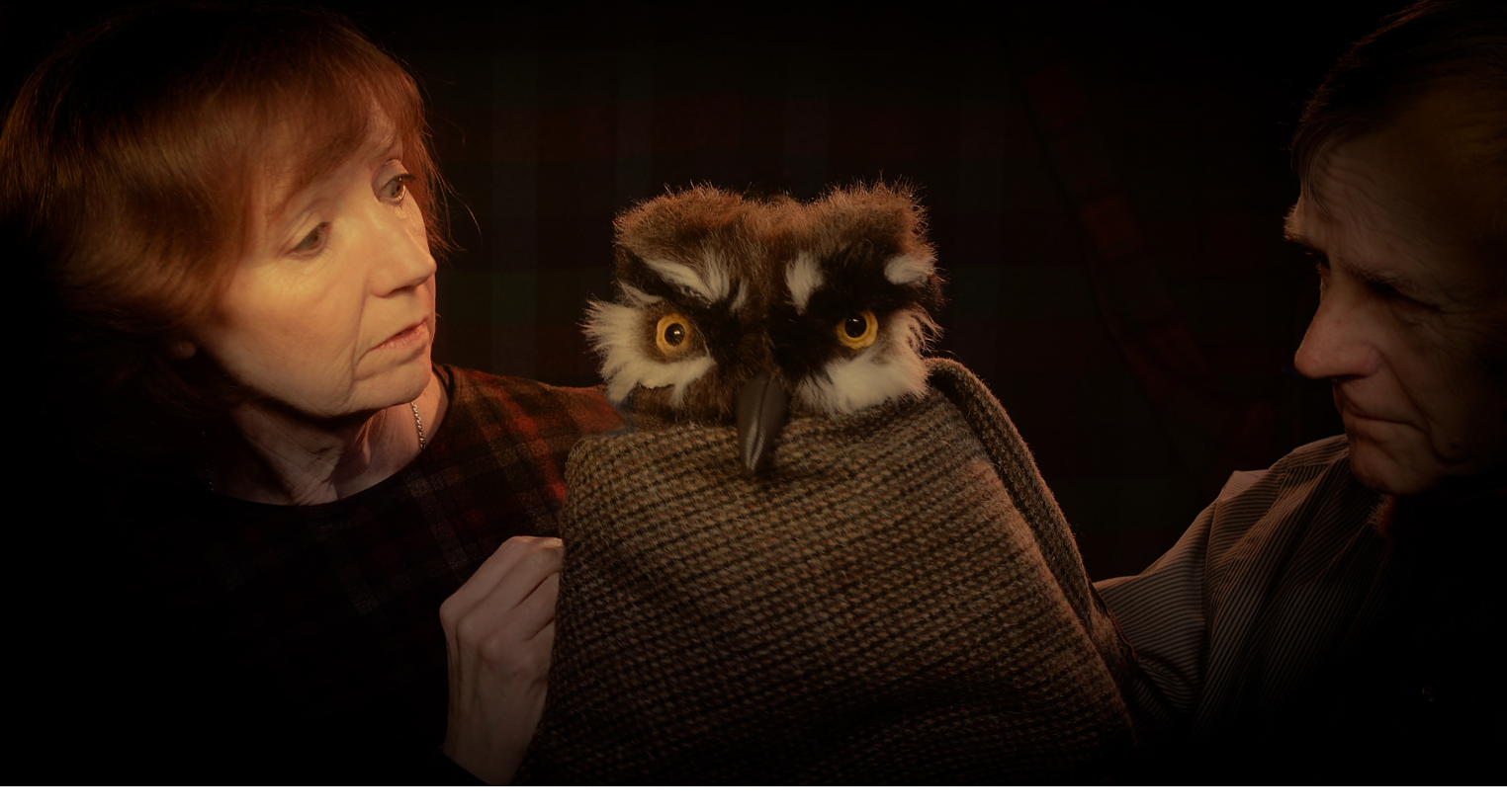 Kathy, Mr Owl and John