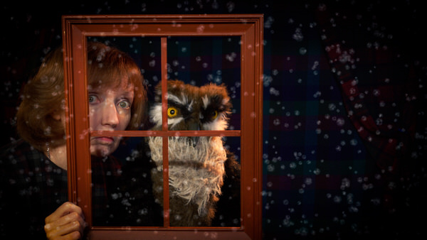 Owl and Kathy looking at the snow